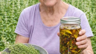 Astuce cuisine Astuces jardinage Basilic bien être Idées recettes Infusions Zéro déchet 