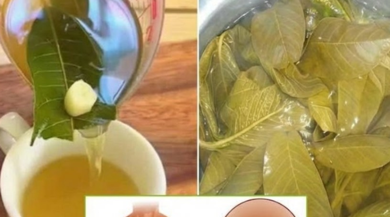 Bienfaits des plantes Circulation sanguine Déshydratation Rituels santé santé cardiovasculaire Tisanes 