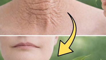 Alimentation anti-âge Astuce beauté Conscience corporelle Cosmétiques naturels Feuille de laurier Soins de la peau 