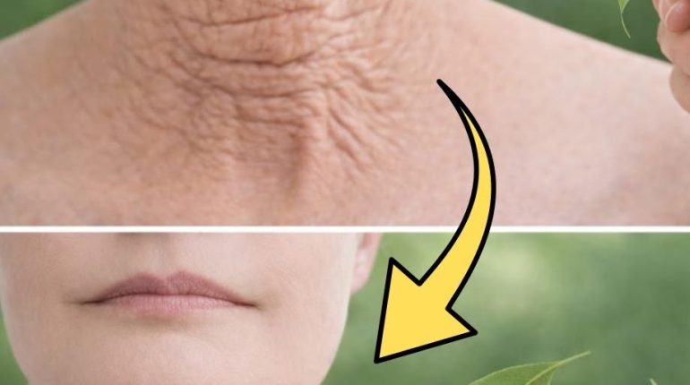 Alimentation anti-âge Astuce beauté Conscience corporelle Cosmétiques naturels Feuille de laurier Soins de la peau 