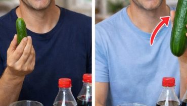 Académie de médecine alimentation Alimentation Santé bien être Remèdes maison tendances 