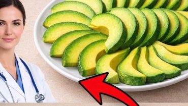 Amérique du Sud Bienfaits santé cholestérol Immunité Infusions Thé de noyau d'avocat 