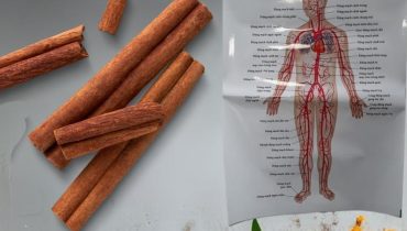 Alimentation Santé bien être Boisson matinale Déshydratation Digestion Métabolisme Recette boisson 