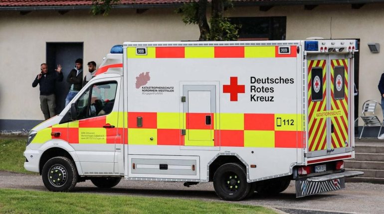 Abolition peine de mort accident Actualités animales Allemagne catastrophe Chocolat de Pâques drame 