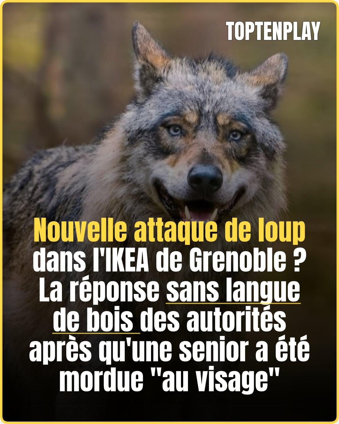 Entre rumeur virale et réalité des faits, les experts français brisent enfin le silence sur le risque réel.
