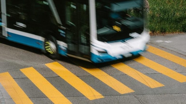 Abus de faiblesse accident Actualités animales injustice Sécurité dans les transports Tours 