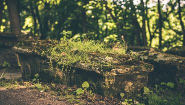 56 corps dont 50 nourrissons découverts dans un cimetière de Trinité-et-Tobago