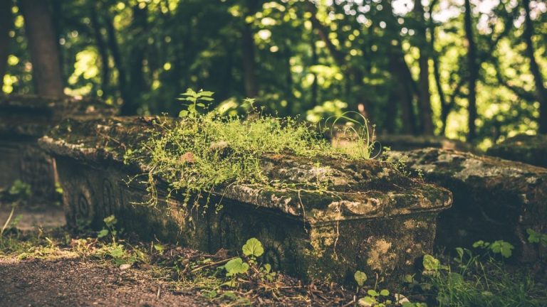 56 corps dont 50 nourrissons découverts dans un cimetière de Trinité-et-Tobago