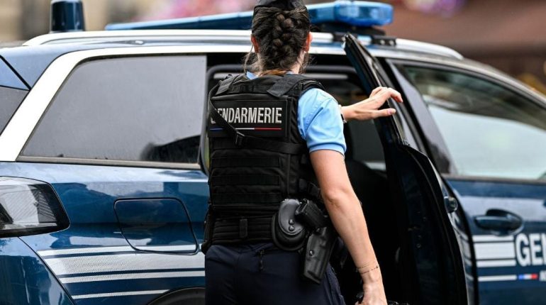 Actualités animales Arizona Cold Case Commission d'enquête disparition Retrouvée vivante 