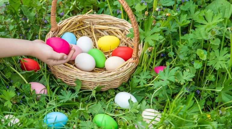 accident Allemagne Anti-inflammatoire naturel Chocolat de Pâques tragédie 