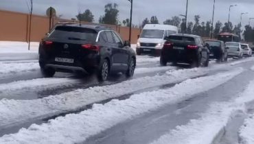 accusent la France Actualités animales Alerte météo Blancs en neige Phénomènes météorologiques Températures 