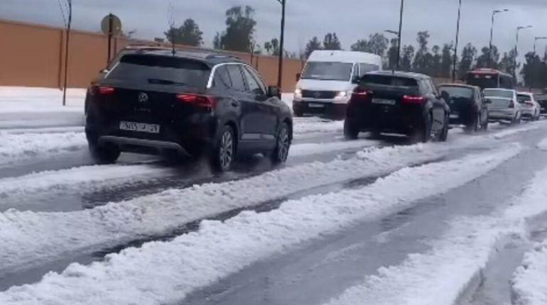 accusent la France Actualités animales Alerte météo Blancs en neige Phénomènes météorologiques Températures 