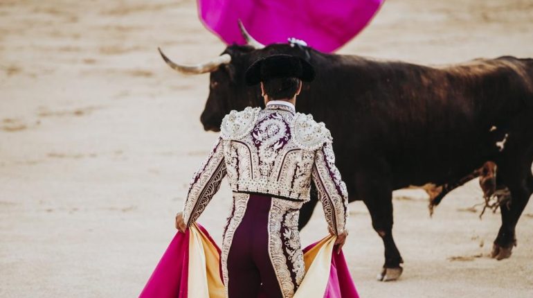 Corrida Espagne les images d’un taureau Malaga Ricardo Ortiz Tauromachie 