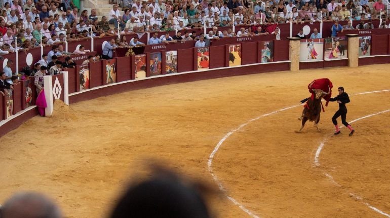 accident Corrida Espagne hommage les images d’un taureau Malaga Tauromachie 