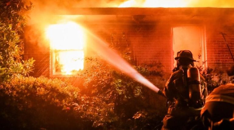 Actualités animales allaité trois enfants Code de la sécurité sociale Dîner en famille Héroïsme Incendie Sauvetage 