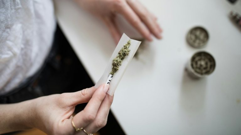 Cannabis et adolescents : une étude sur 11 000 jeunes documente un décrochage cognitif dès 14 ans