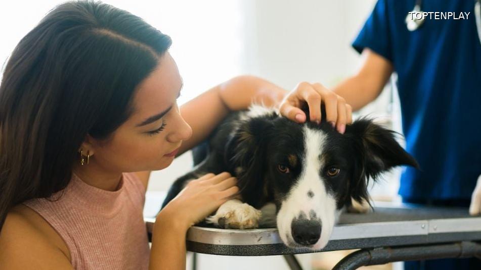 Image d'illustration © TopTenPlay