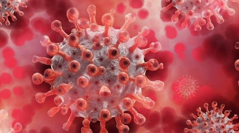 allaité trois enfants Coronavirus Covid long Omicron Santé Publique Variants 