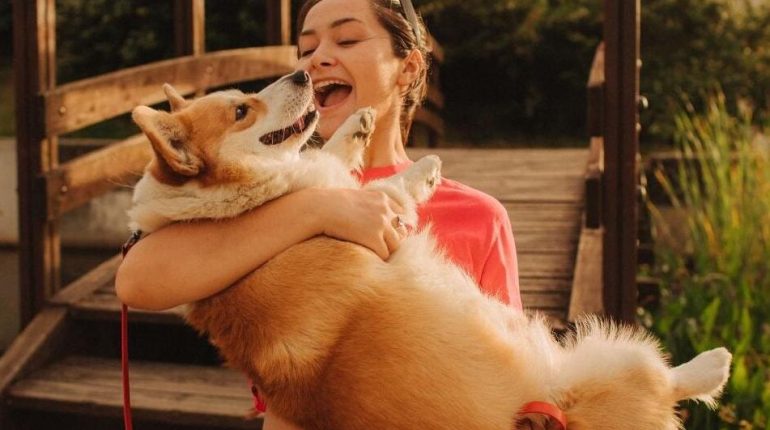 amendement Animaux domestiques Anti-inflammatoire naturel biodiversité chiens Réglementation 