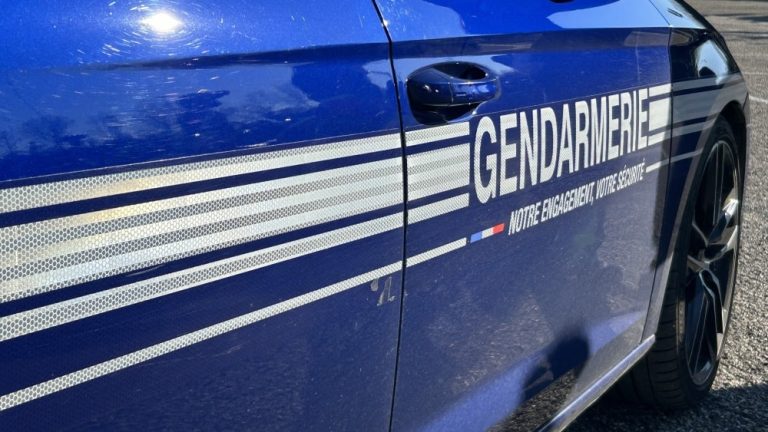 Féminicide présumé en Loire-Atlantique : Manon Relandeau disparue, sa fille retenue en Algérie