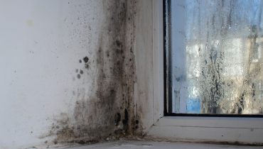 Mort à 29 ans dans un HLM moisi : la justice reconnaît la responsabilité du bailleur