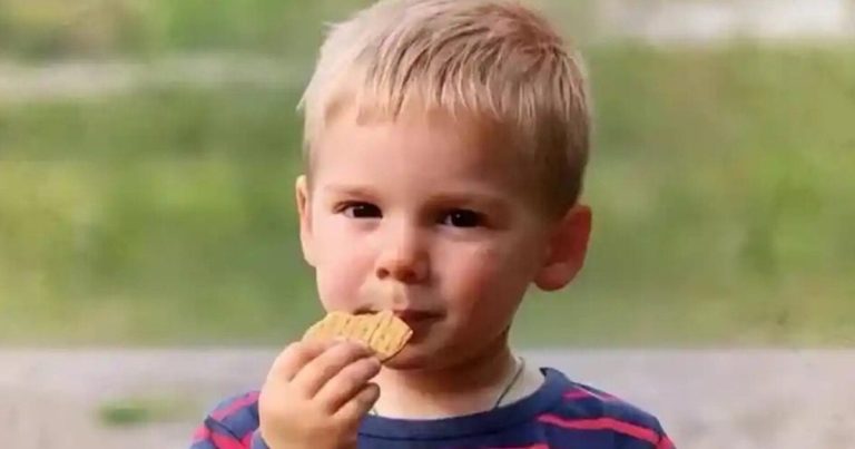 Mort d'Émile : 106 profils ADN analysés, une réponse attendue avant l'été
