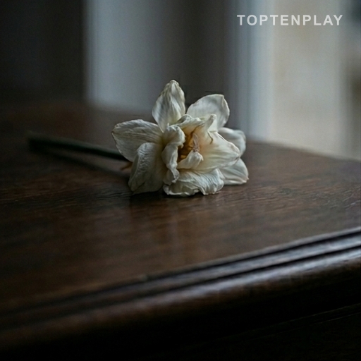 Nathalie Baye disparaît à 77 ans, le cinéma français en deuil