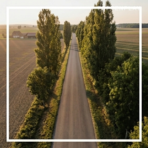 Quatre adolescents tués dans la Marne : ils revenaient d'un défilé de voitures anciennes