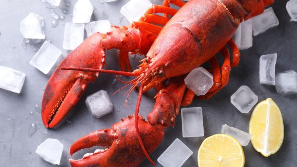 rsa-et-homard-comment-une-intox-tiktok-a-5604222000-og RSA et homard : comment une intox TikTok a piégé 2,5 millions d'internautes