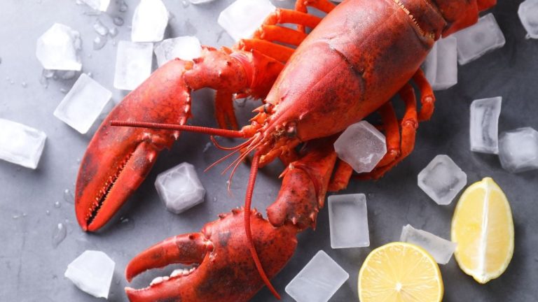 RSA et homard : comment une intox TikTok a piégé 2,5 millions d'internautes