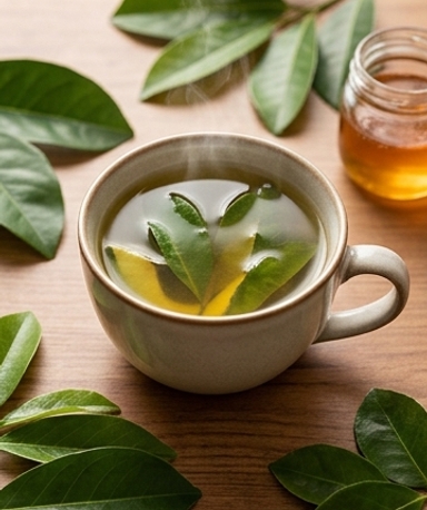 Tisane Quatre Feuilles : Avocat, Mangue, Corossol & Citrus