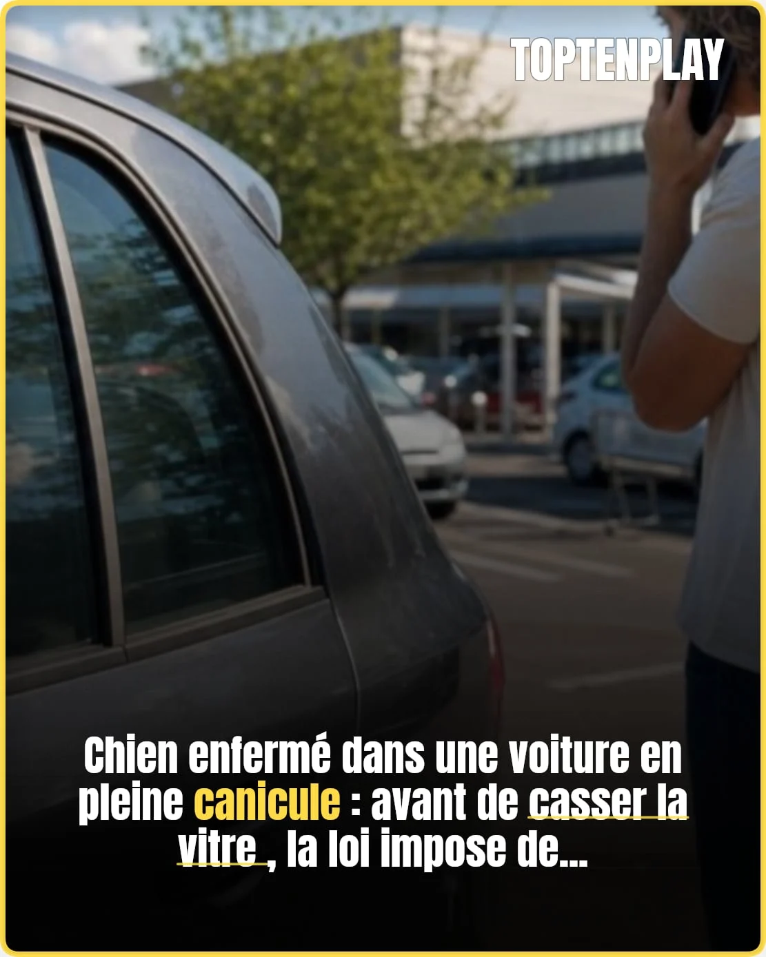 Chien enfermé en voiture : que permet vraiment la loi ?
