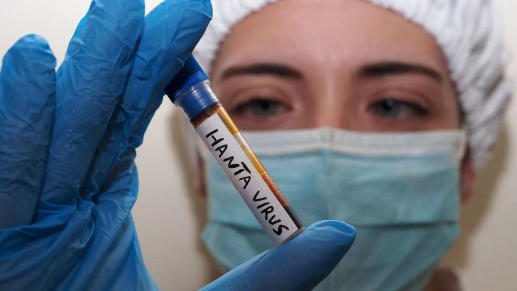 Hantavirus : décret, 42 jours de quarantaine et aucun confinement
