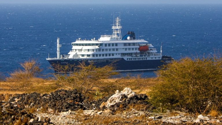 Hantavirus sur le MV Hondius : 3 morts, 5 cas confirmés, ce que l'on sait