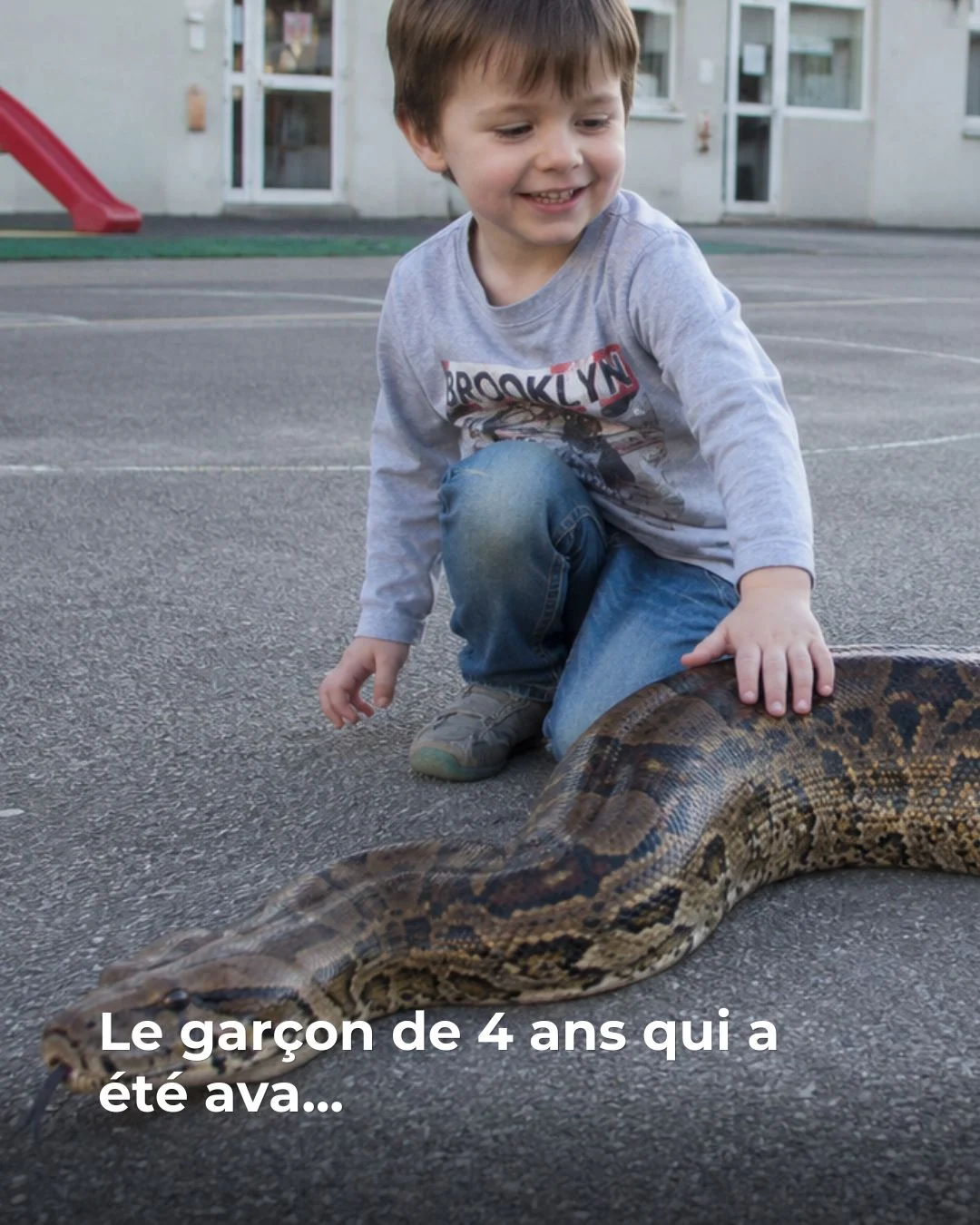 Le garçon de 4 ans qui a été ava...Voir plus