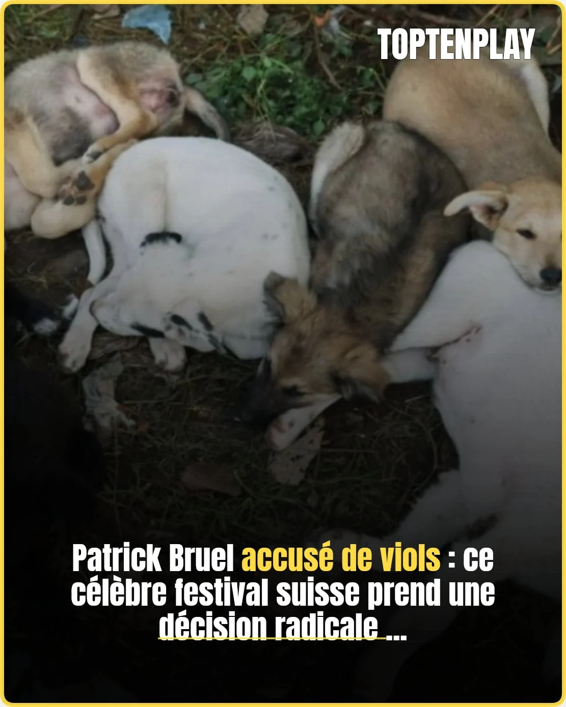 Patrick Bruel écarté du Paléo après de nouveaux témoignages