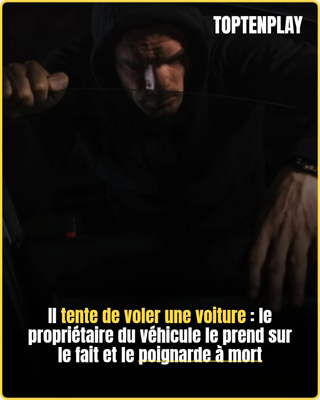 Il tente de voler une voiture : le propriétaire du véhicule le prend sur le fait et le poignarde à mort
➡️ https://l.midilibre.fr/gXfj