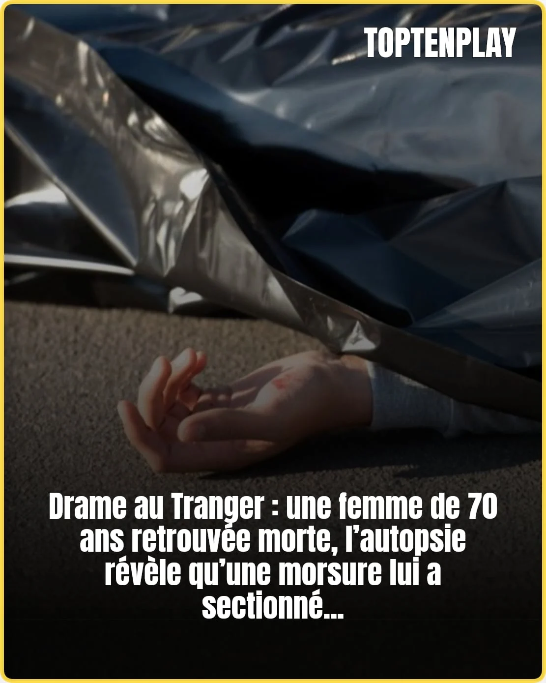 Une des morsures lui a sectionné une artère : une femme retrouvée morte dévorée par ses chiens
➡️