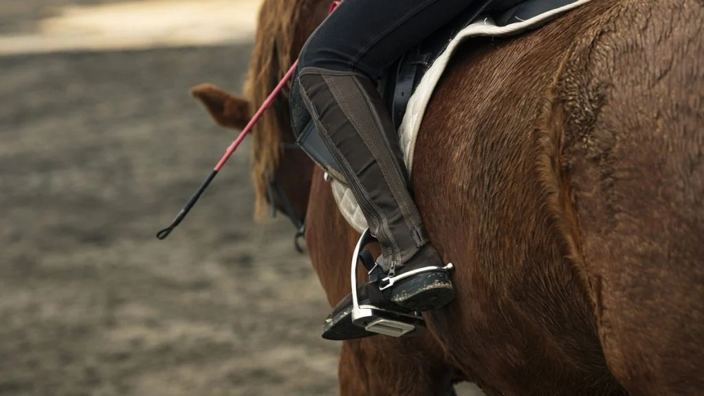 a-25-ans-elle-meurt-sous-son-cheval-apre-5189158549-g6c1di-og À 25 ans, elle meurt sous son cheval après avoir réalisé son rêve