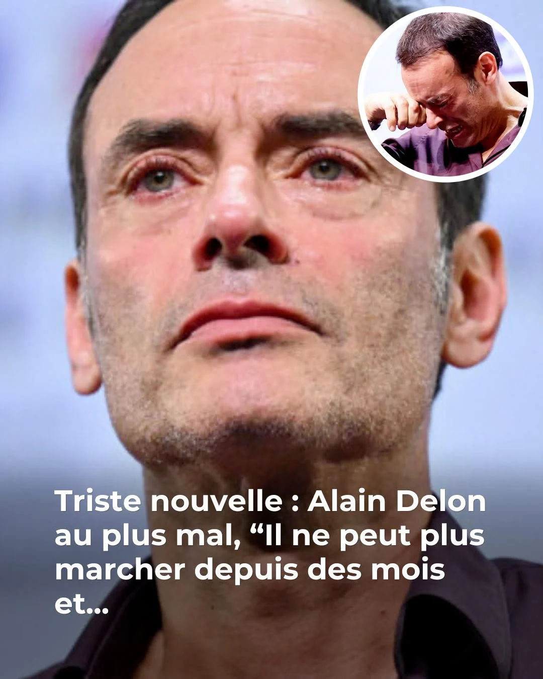 Anthony Delon : sa chienne Blew, 15 ans, «ne marche plus depuis des mois»