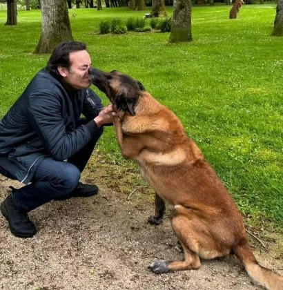 Chienne âgée allongée sur un matelas dans un jardin, caressée par son maître