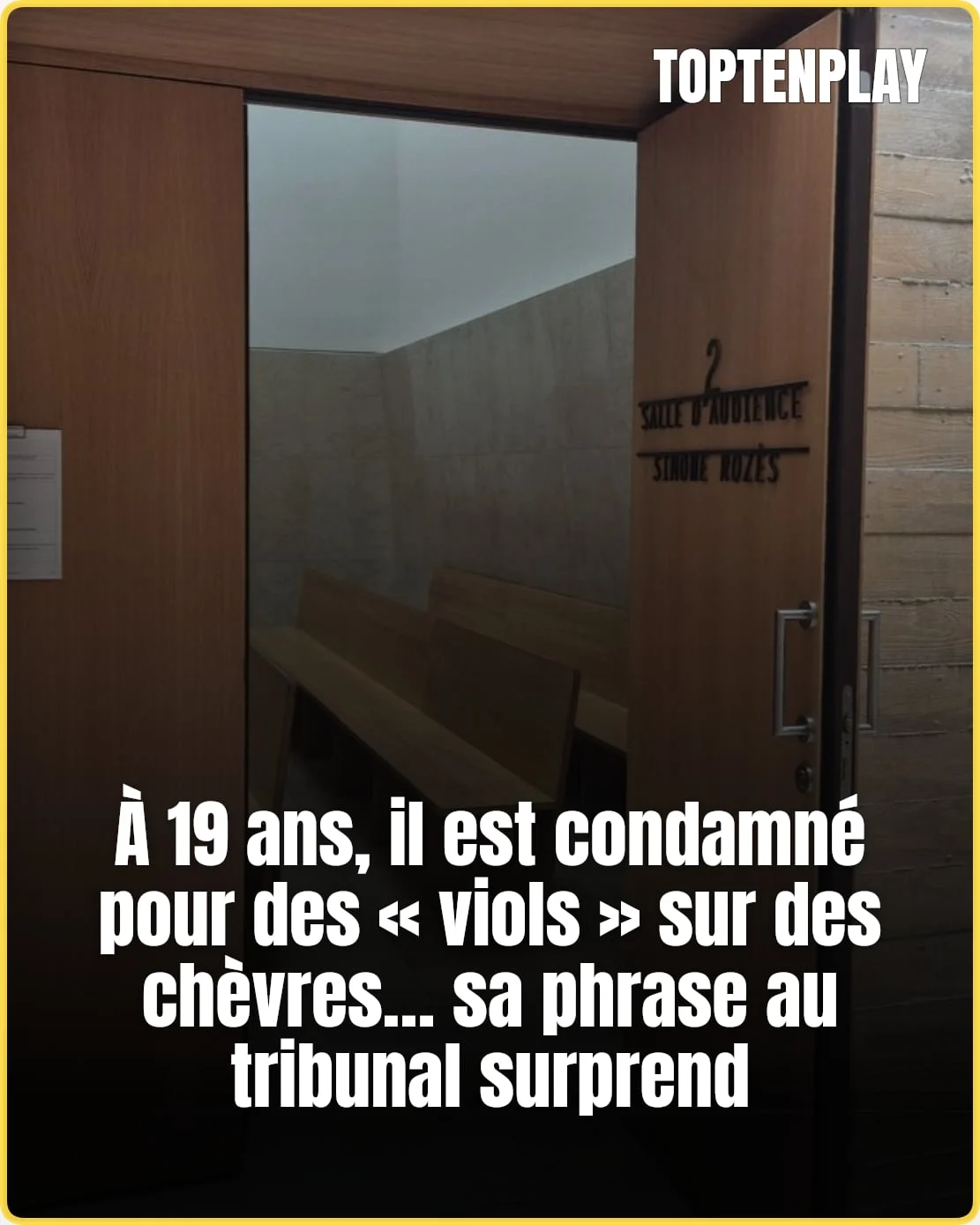 « Je suis normal » : un homme de 19 ans condamné
