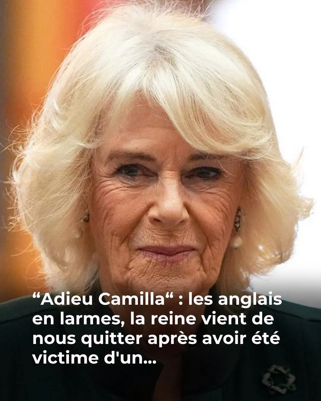 La reine Camilla perd Beth, son Jack Russell adopté en 2011