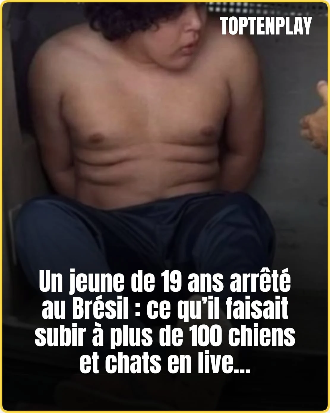Plus de 100 animaux torturés en live : un suspect arrêté
