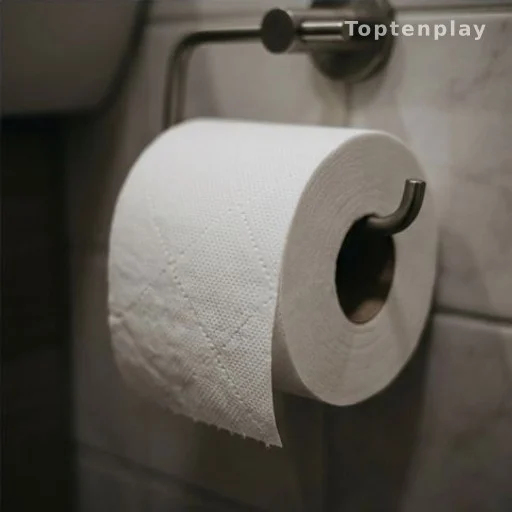 Rouleau de papier toilette sur son support dans une salle de bain