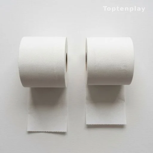 Deux rouleaux de papier toilette illustrant les deux sens de pose possibles