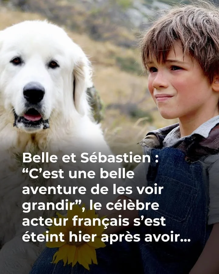 Tchéky Karyo, star de L&rsquo;Ours et Belle et Sébastien, est mort à 72 ans