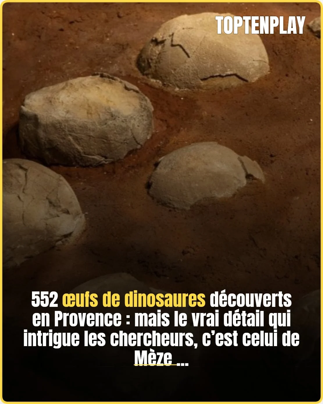 Œufs de dinosaures : le vrai du spectaculaire gisement français