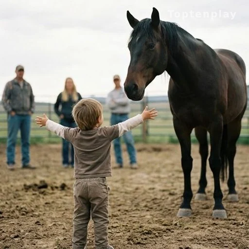 Fillette tendant les bras vers un cheval lors d'une rencontre supervisée en plein air