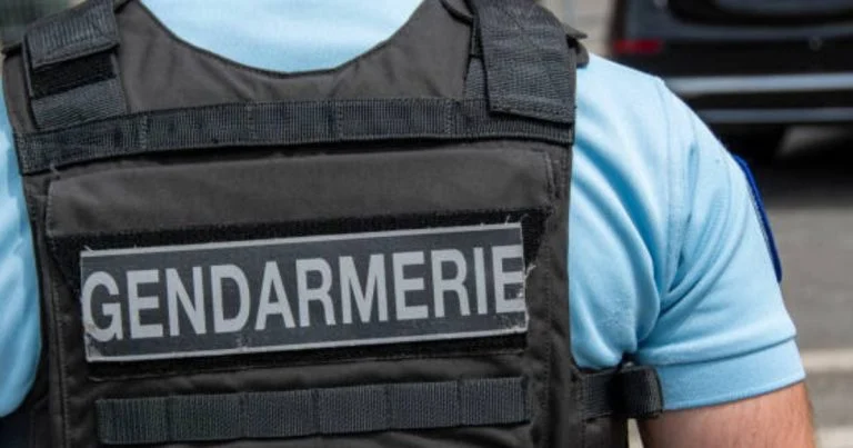 deux-enfants-tues-en-essonne-la-mere-avait-porte-p cover